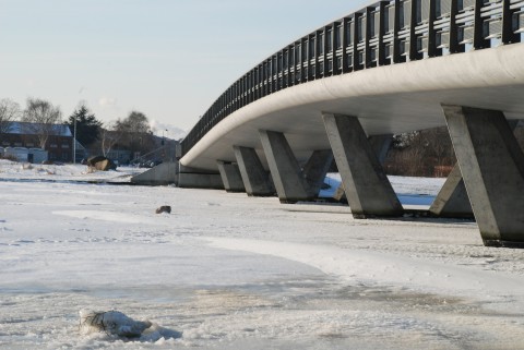 Amager_strandpark_vinter_12 kopi