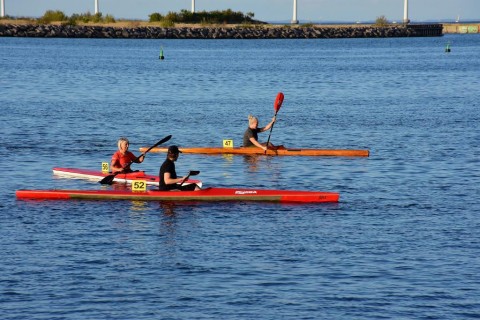 handi1